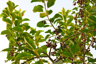 Similar image 7466563