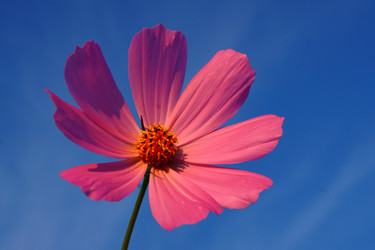 Similar image 7466564