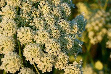 Similar image 7466566