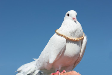 Similar image 7466568