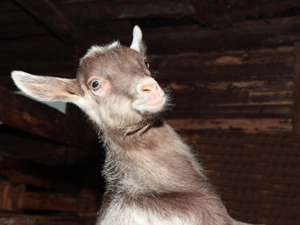 Similar image 7466570