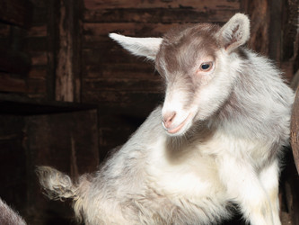 Similar image 7466571