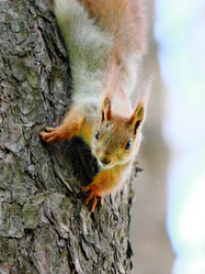 Similar image 7466573