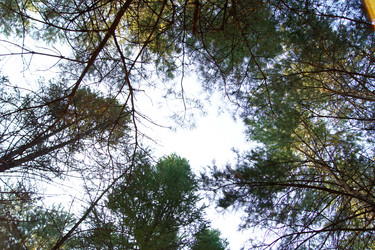 Similar image 7466577