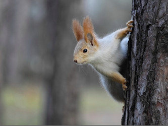 Similar image 7466586