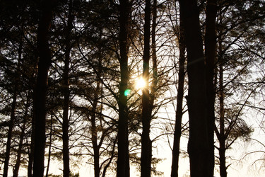 Similar image 7466608