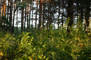 Similar image 7466609