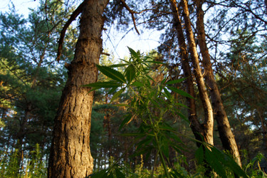 Similar image 7466611