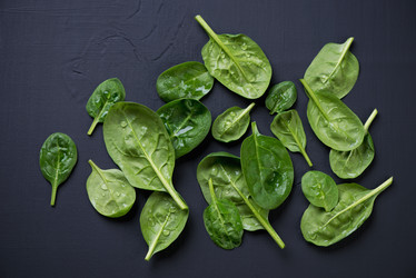 Similar image 7466700