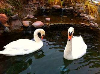 Similar image 7466731