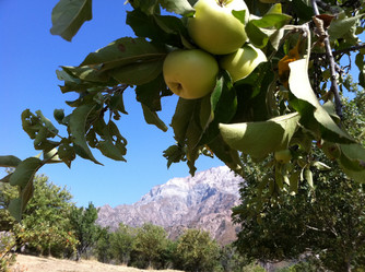 Similar image 7466748