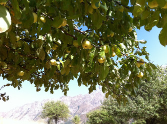 Similar image 7466749