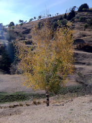 Similar image 7466752