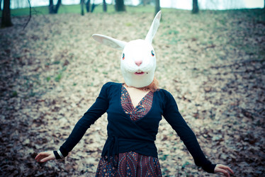 Similar image 7467087