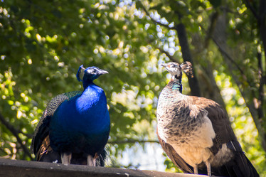 Similar image 7467394