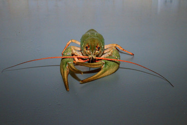 Similar image 7467599