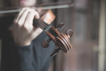 Similar image 7467635