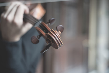 Similar image 7467636