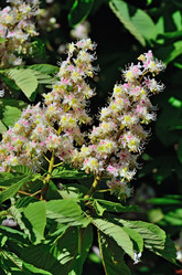 Similar image 7467802