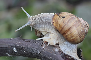 Similar image 7467805