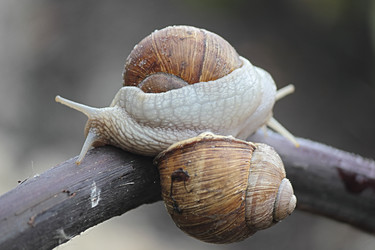 Similar image 7467806