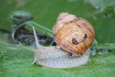 Similar image 7467821