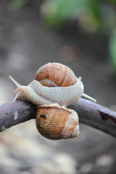 Similar image 7467824