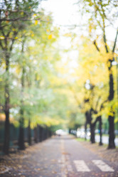 Similar image 7468041