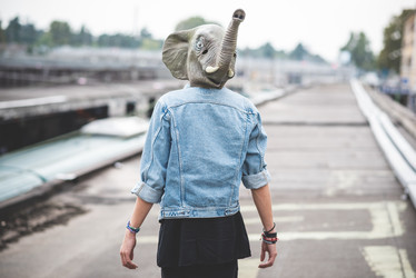 Similar image 7468696