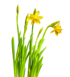 Similar image 7469352