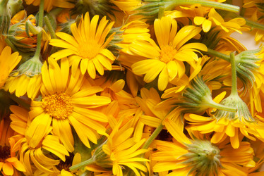 Similar image 7469356