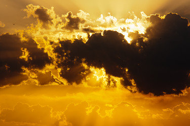 Similar image 7469360