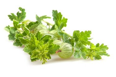 Similar image 7469362