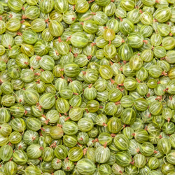 Similar image 7469363