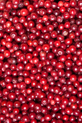 Similar image 7469369