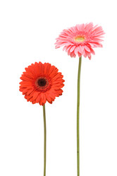 Similar image 7469387