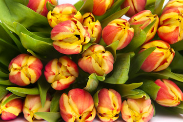 Similar image 7469388