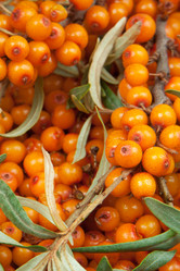 Similar image 7469394