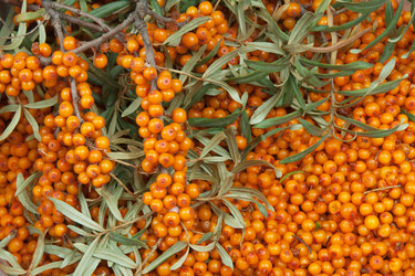 Similar image 7469401