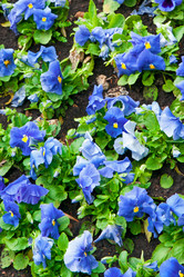 Similar image 7469407