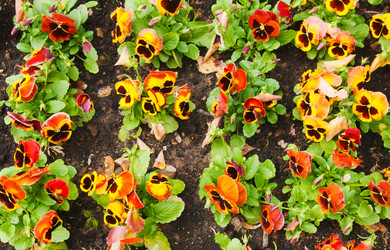 Similar image 7469408