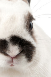 Similar image 7469410