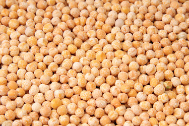 Similar image 7469411