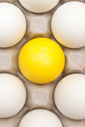 Similar image 7469415