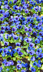 Similar image 7469416