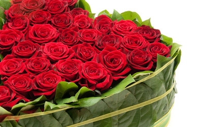 Similar image 7469419