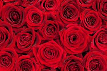 Similar image 7469420