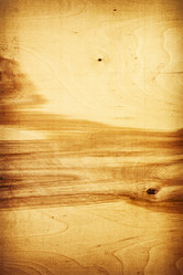 Similar image 7469421