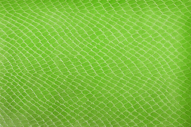 Similar image 7469424