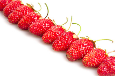 Similar image 7469447